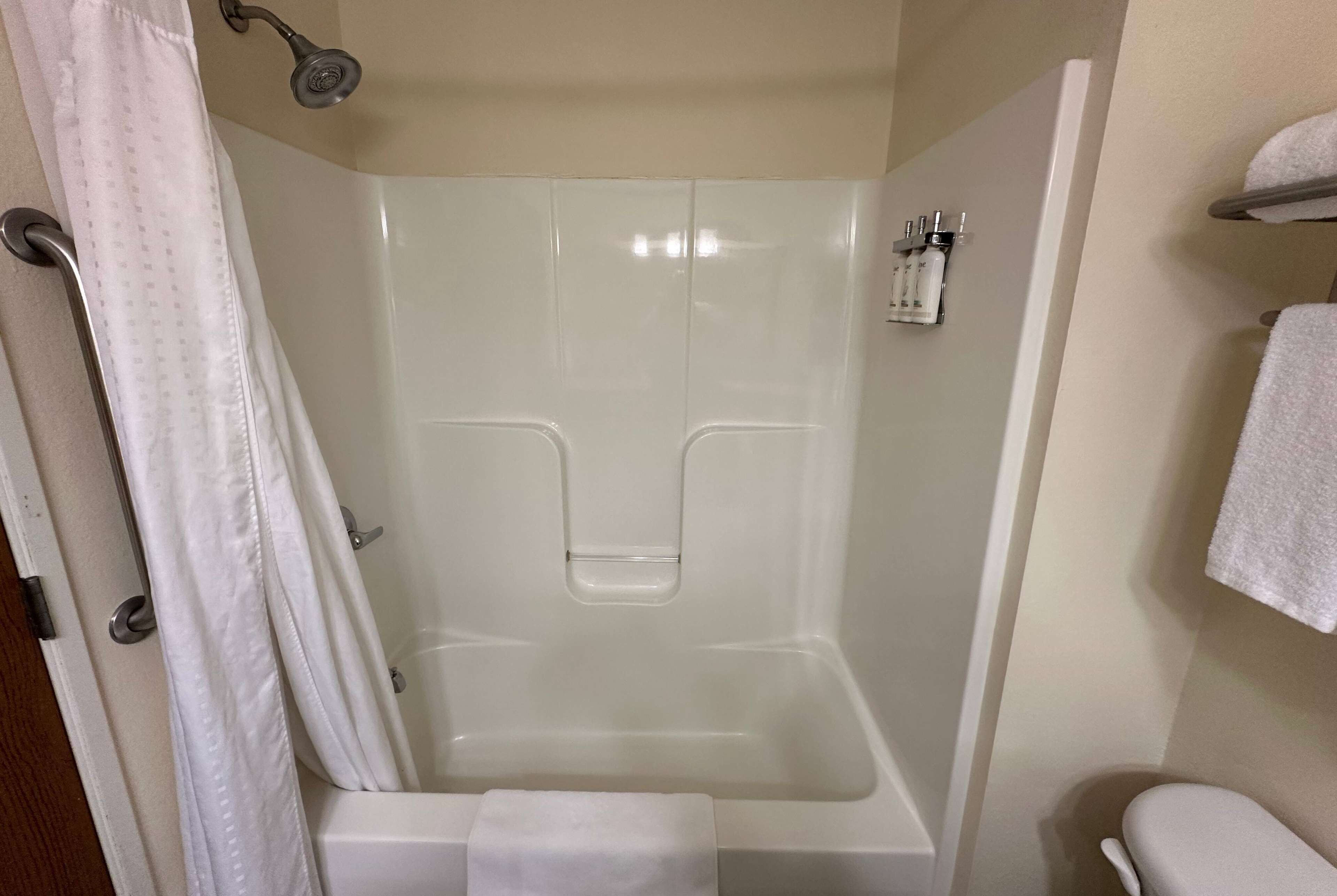 combined shower/bathtub, hair dryer, towels