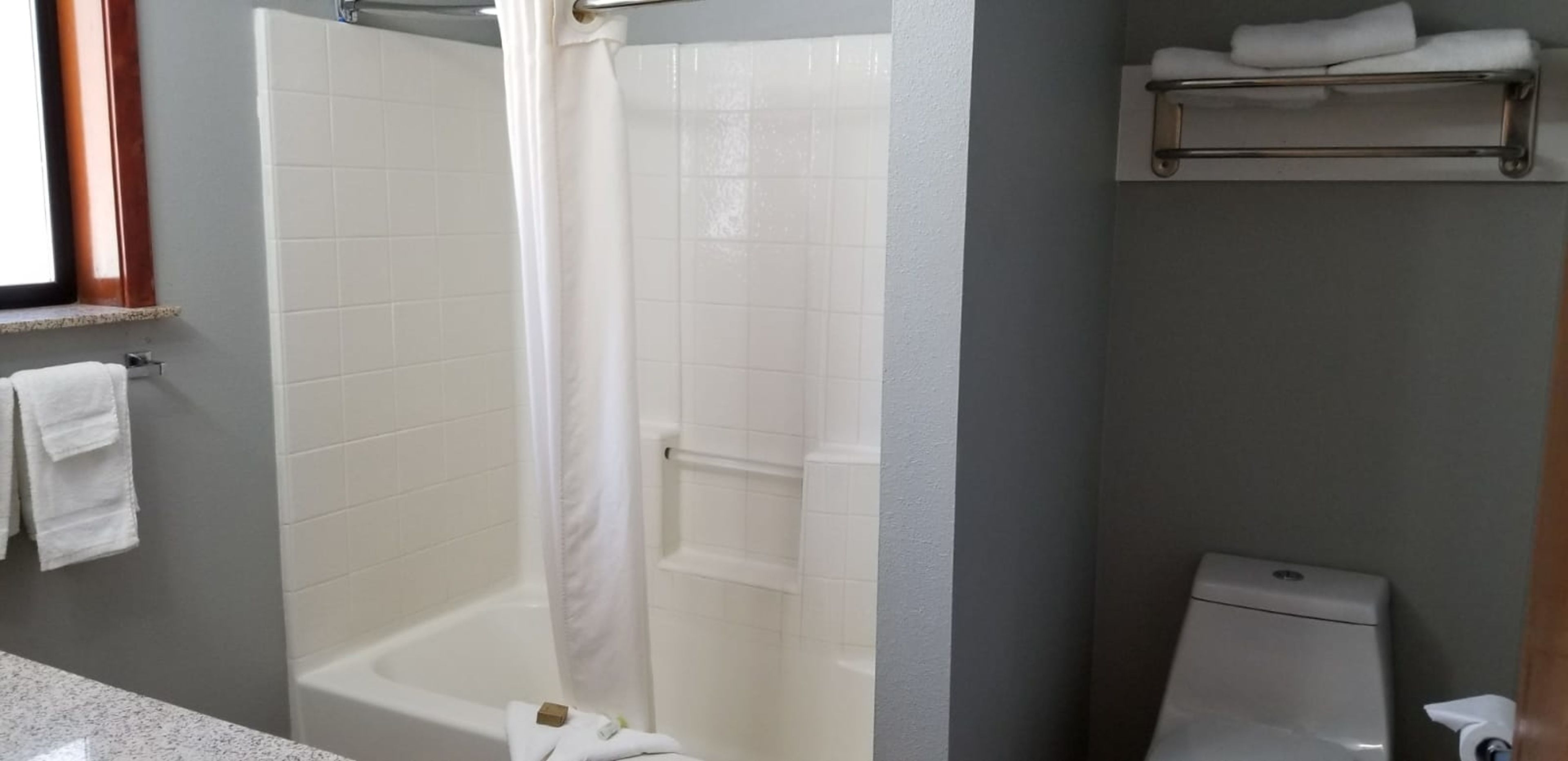 A bathroom with a shower, toilet, and a towel rack.