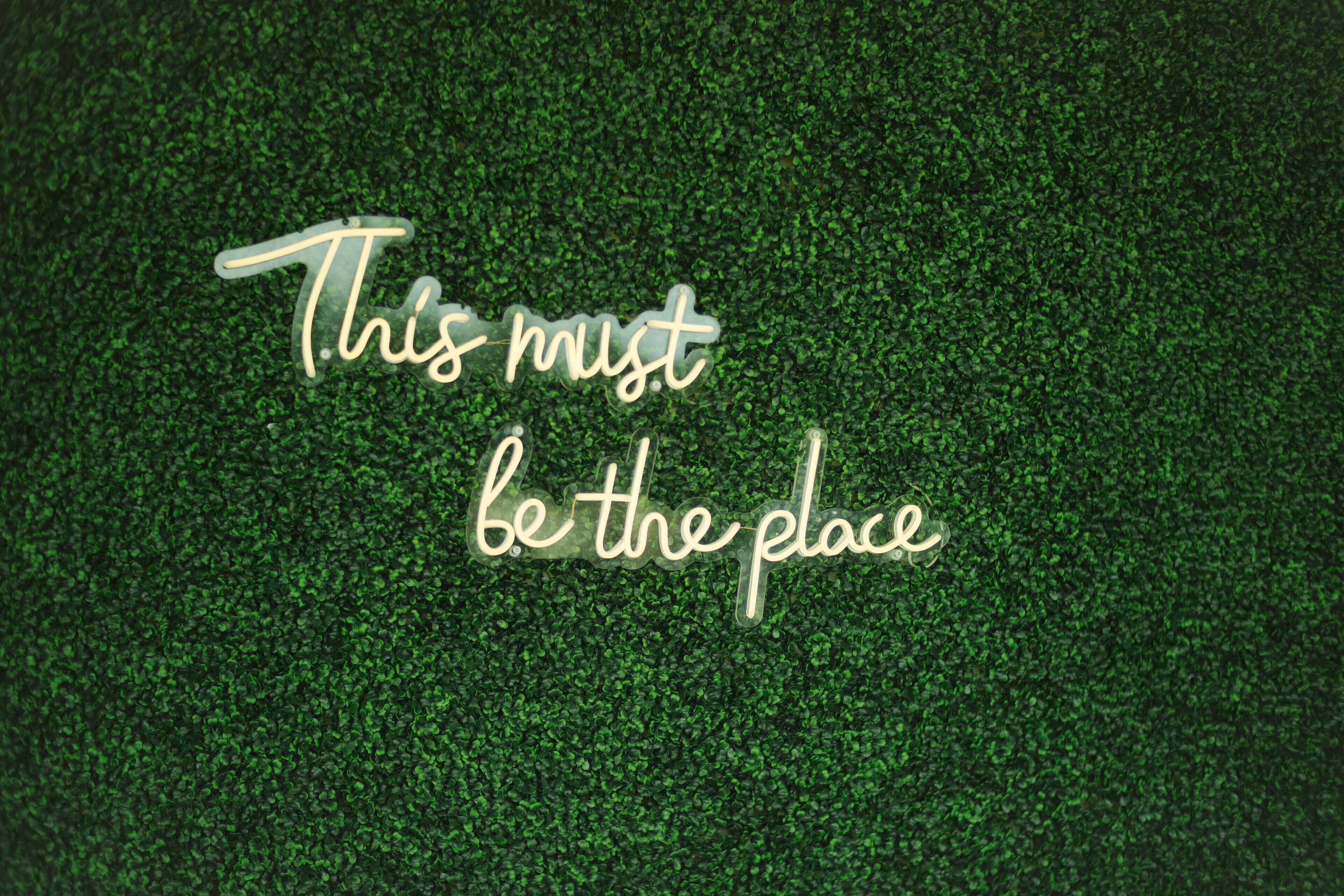 Photo - Hotel International