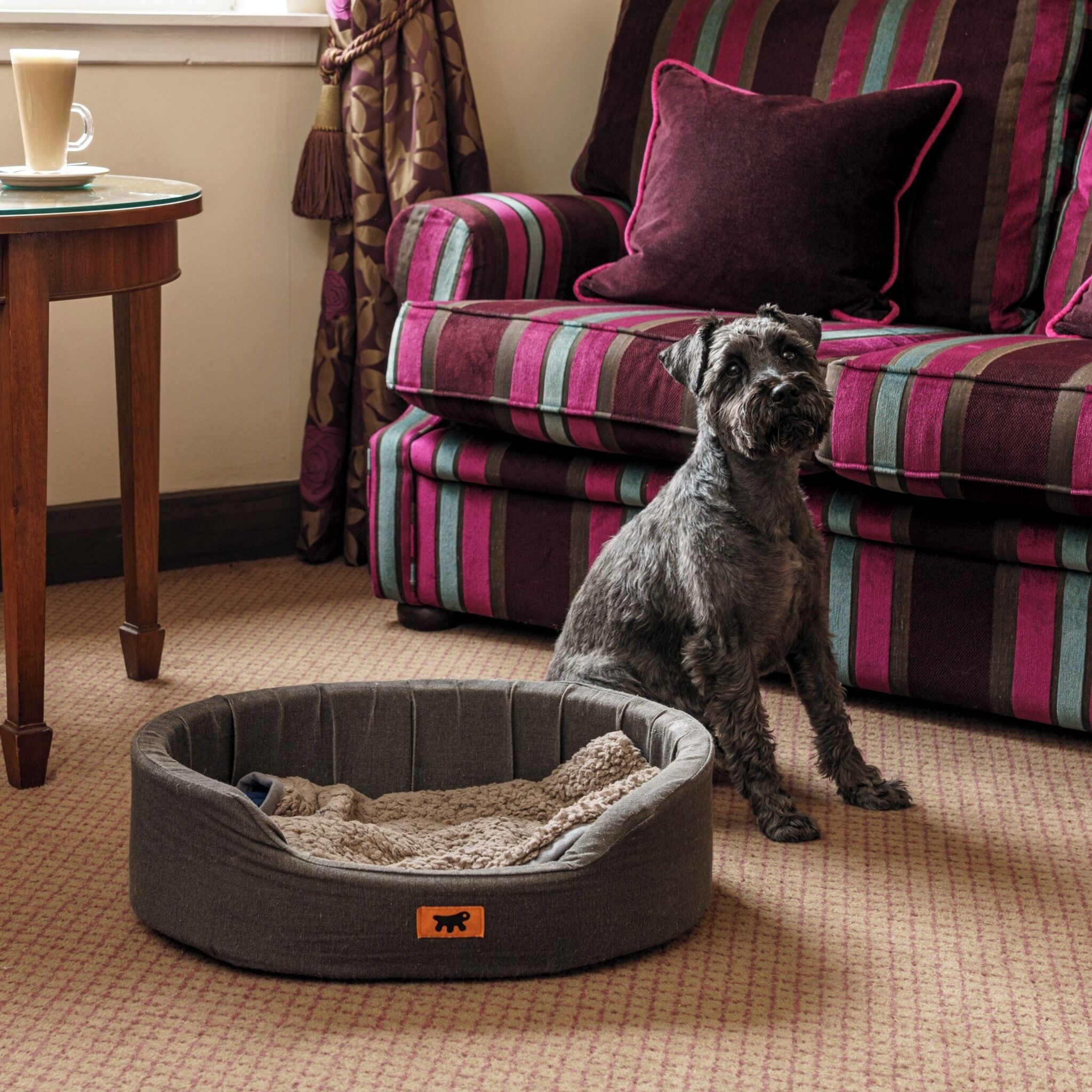 A dog bed, a sofa, and a table with a cup in a room.