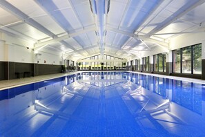 Indoor pool, pool loungers