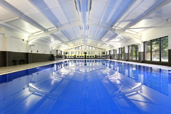 Indoor pool, pool loungers