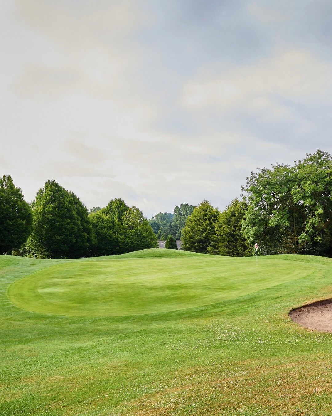 Un campo de golf con un césped cuidado, árboles y una vista distante de un edificio.