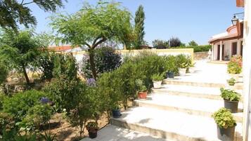 A garden with various plants and a staircase leading to a building.