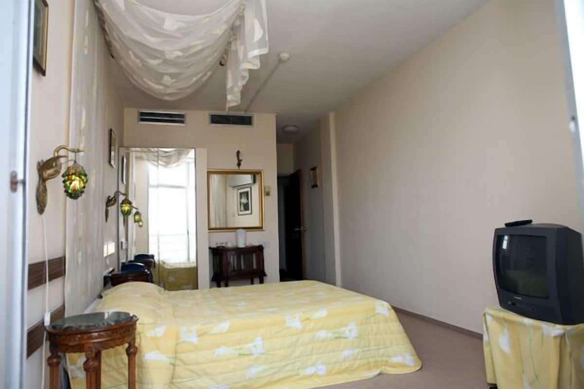 A bedroom with a bed, a television on a stand, a mirror, and a door leading to another room.