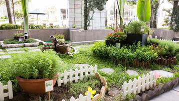 Un jardí amb diverses plantes i una valla blanca de palets.