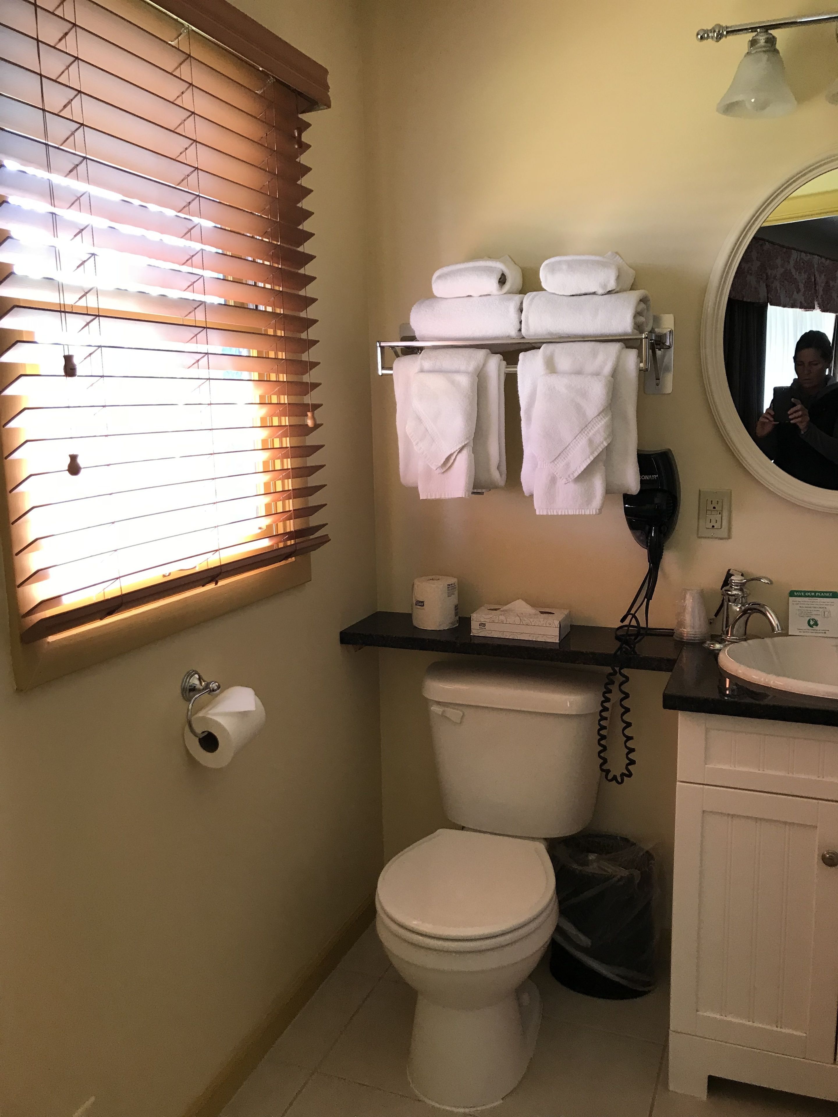 A bathroom with a toilet, sink, towel rack, and a mirror.