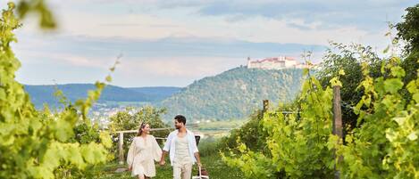 Una pareja caminando por un viñedo con un castillo al fondo.
