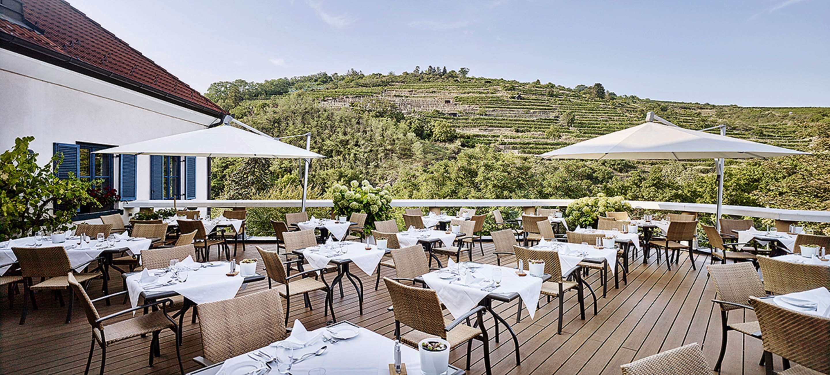 An outdoor dining area with tables and chairs, white umbrellas, and a view of terraced vineyards in the background.