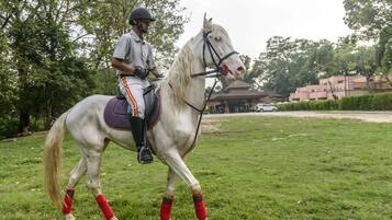 Una persona cavalca un cavallo bianco con bende rosse sulle zampe, in una zona erbosa con alberi e edifici sullo sfondo.