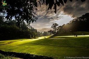 Golf view