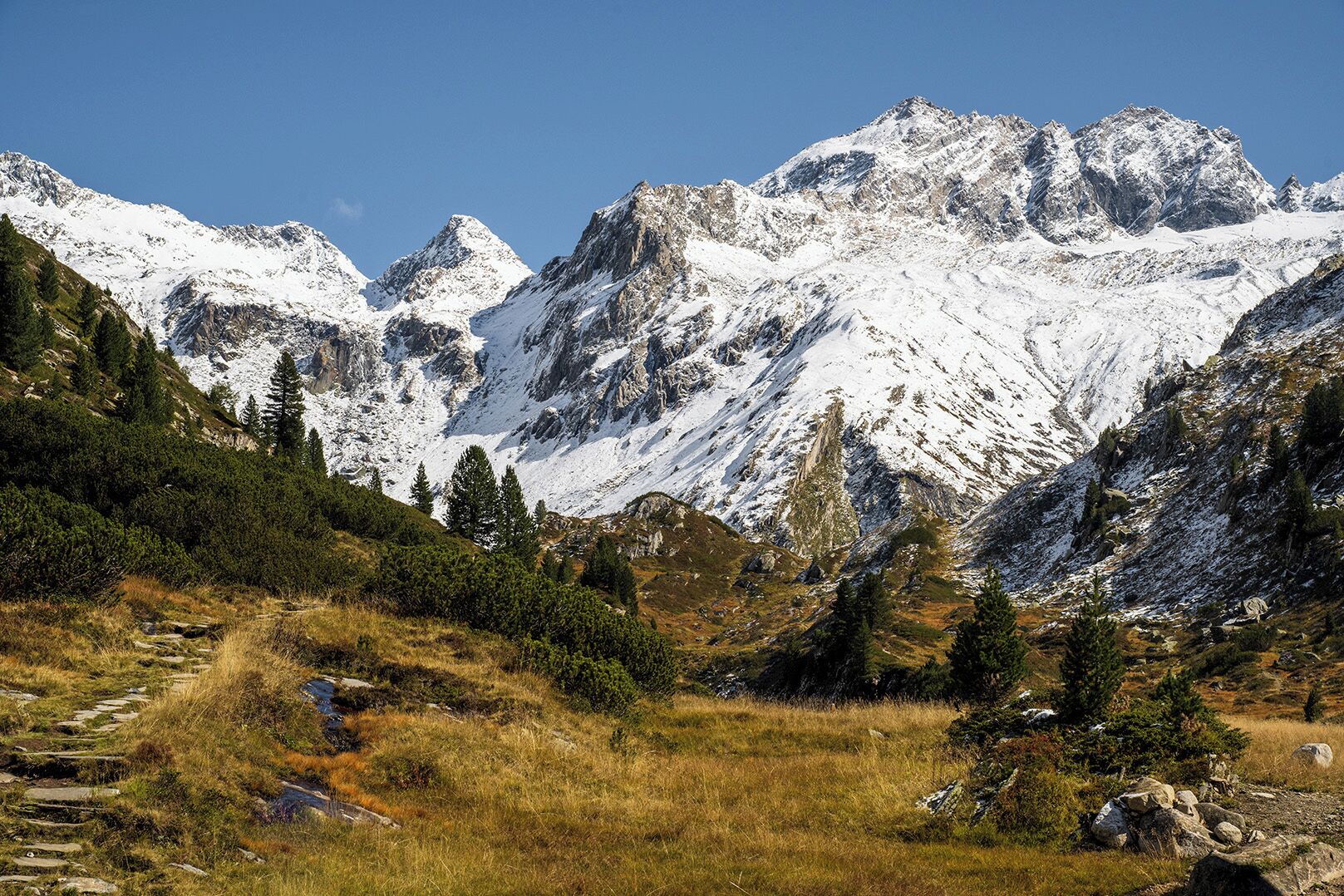Paesaggio montuoso con cime innevate, uno sfondo erboso e un cielo azzurro limpido.