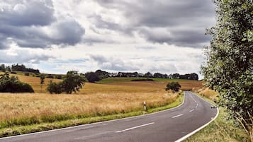 A curving road with grassy fields and trees on both sides.