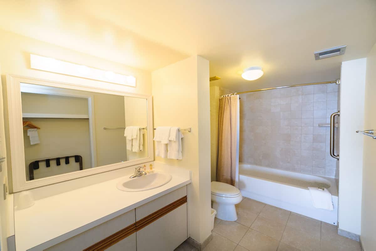 combined shower/bathtub, free toiletries, hair dryer, towels