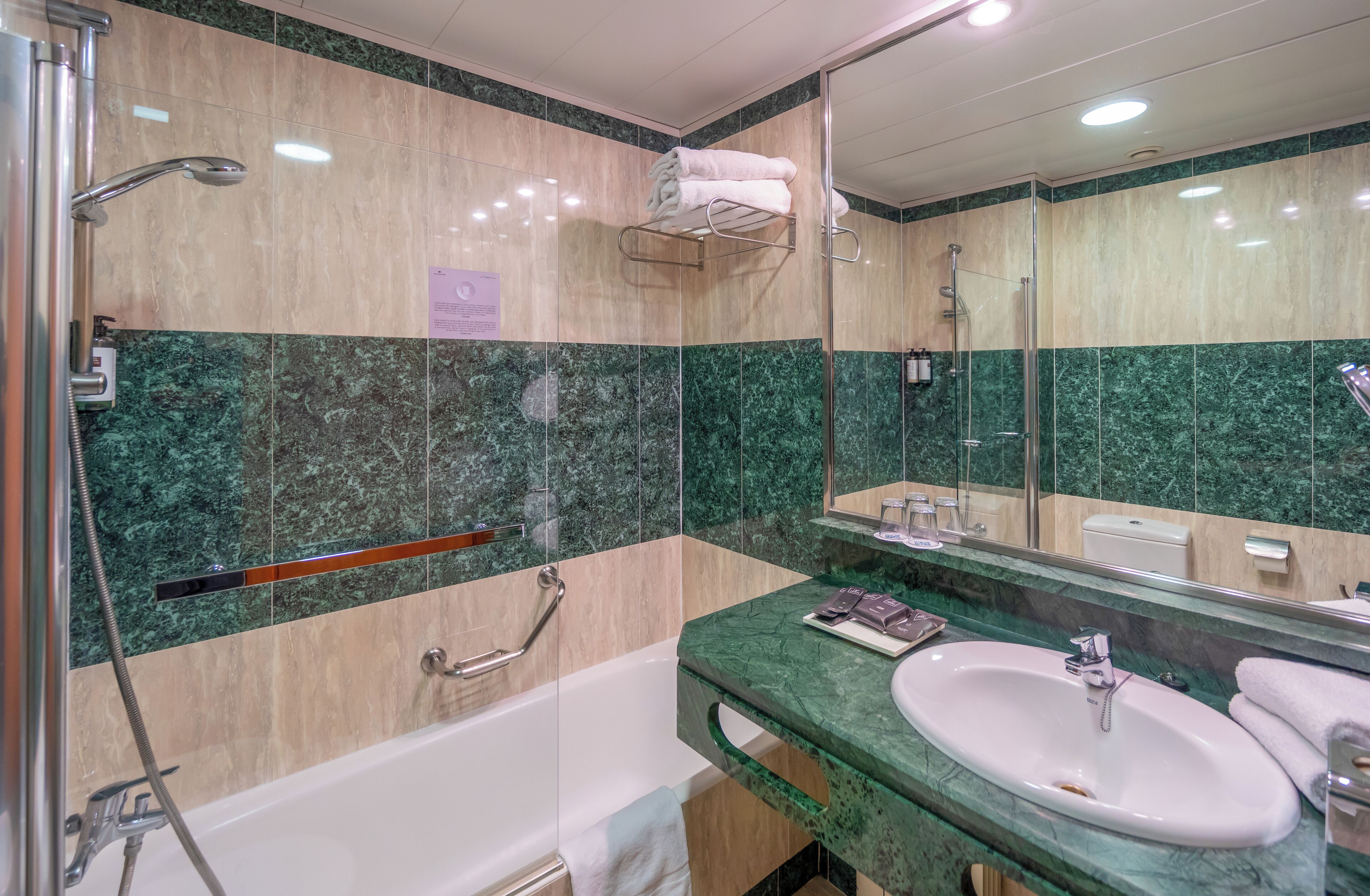 combined shower/bathtub, free toiletries, hair dryer, bidet