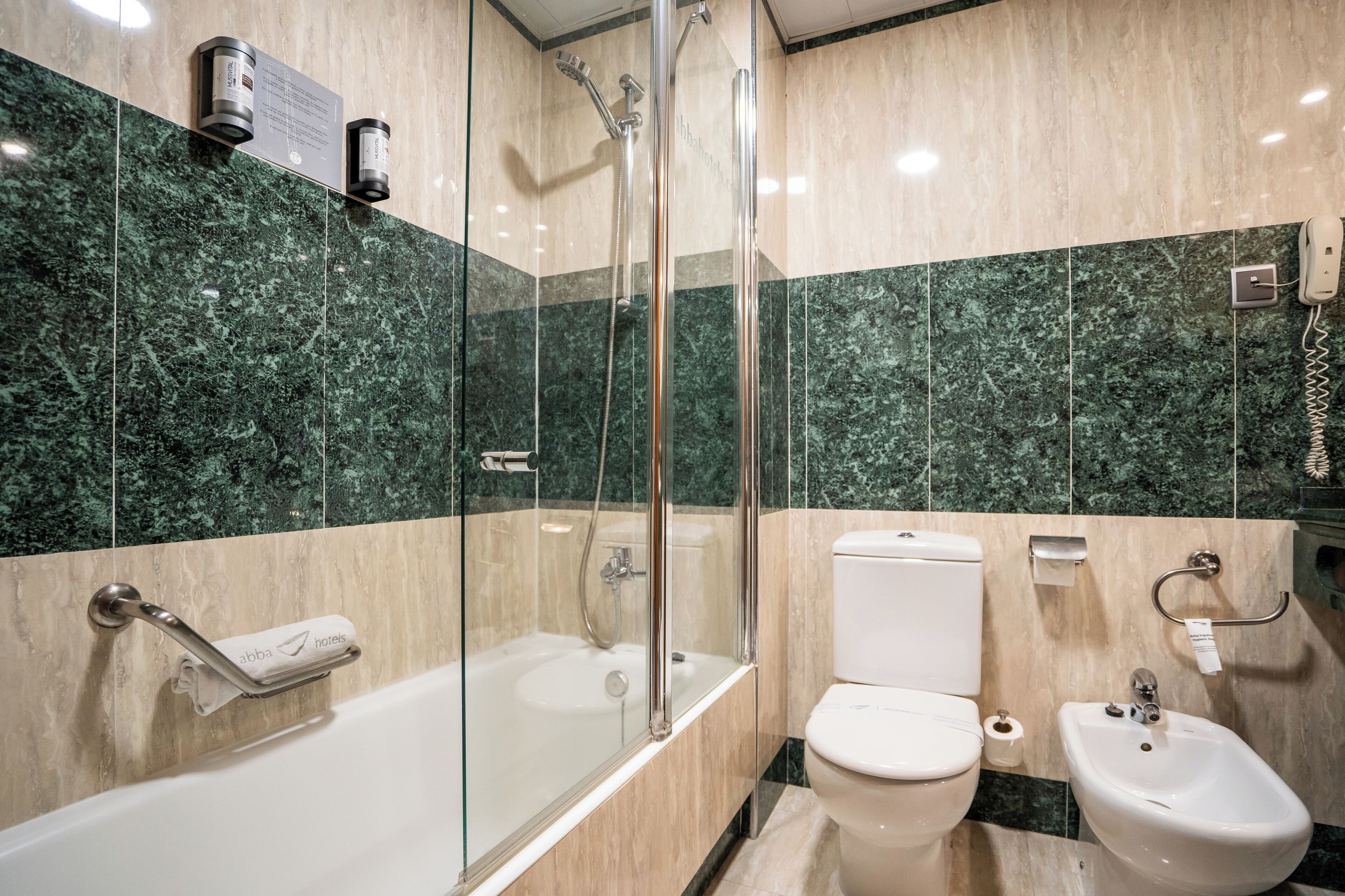 combined shower/bathtub, free toiletries, hair dryer, bidet