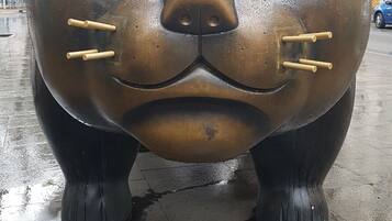 Una gran escultura metálica que se asemeja al rostro de un gato, con expresión triste, ubicada sobre un pavimento mojado en un entorno urbano.