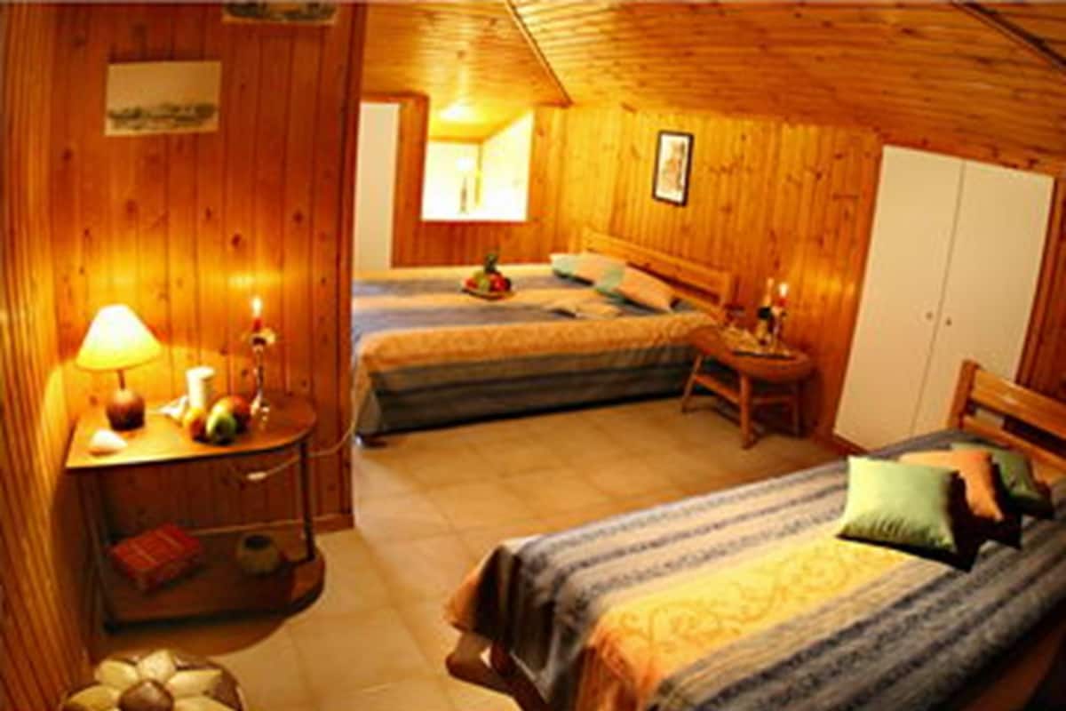 A cozy room with wooden walls and a sloped ceiling, featuring two beds with striped bedding and a small bedside table with a lamp.