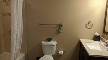 A bathroom with a toilet, a sink, a shower with a glass door, a towel rack, and a small potted plant.