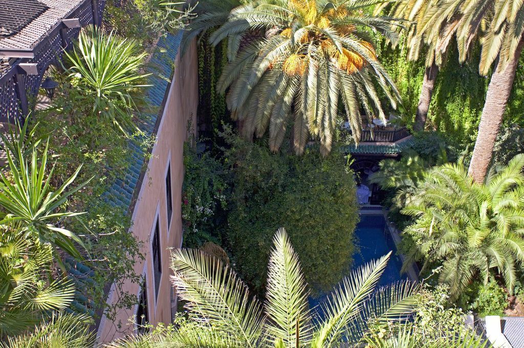 A lush garden with palm trees, a pool, and a traditional building structure.