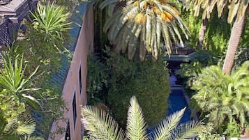 A lush garden with palm trees, a pool, and a traditional building structure.