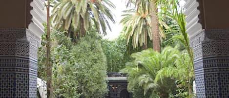 Área da propriedade