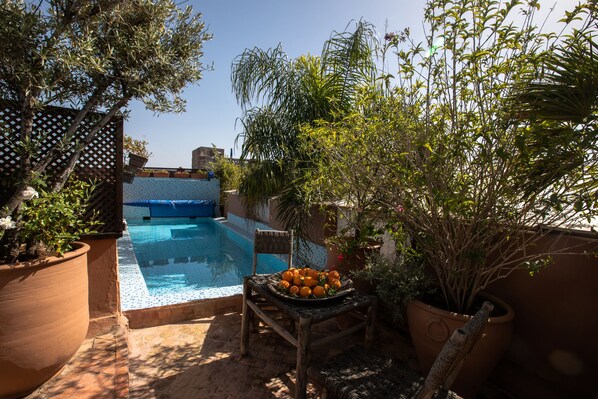Outdoor pool, pool umbrellas