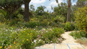 A garden pathway with diverse flora and palm trees.