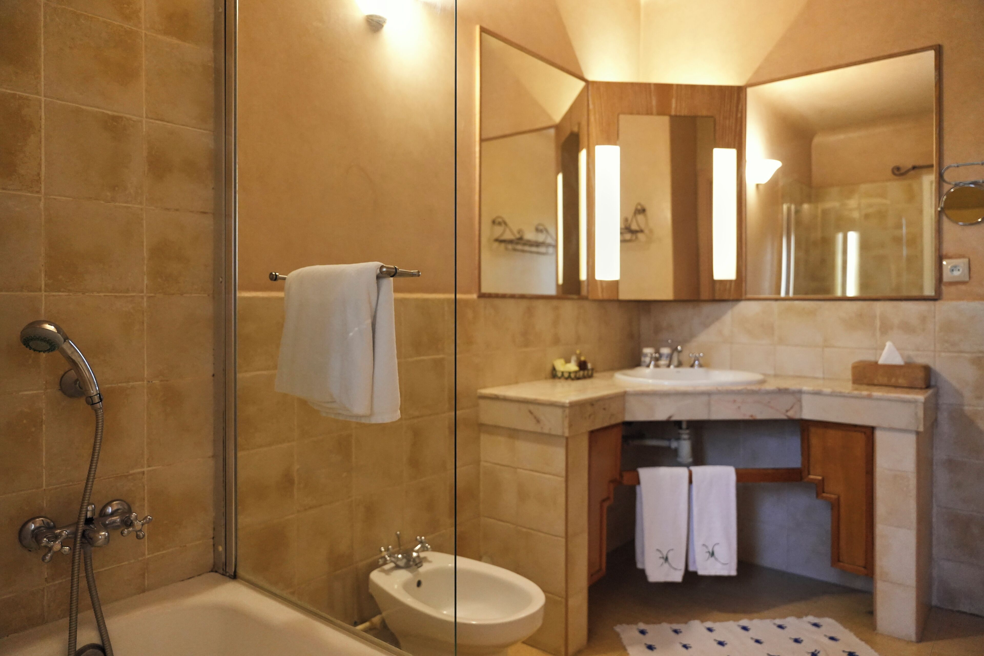 Une salle de bain équipée d’une douche, d’un bidet, d’un lavabo et d’un miroir.
