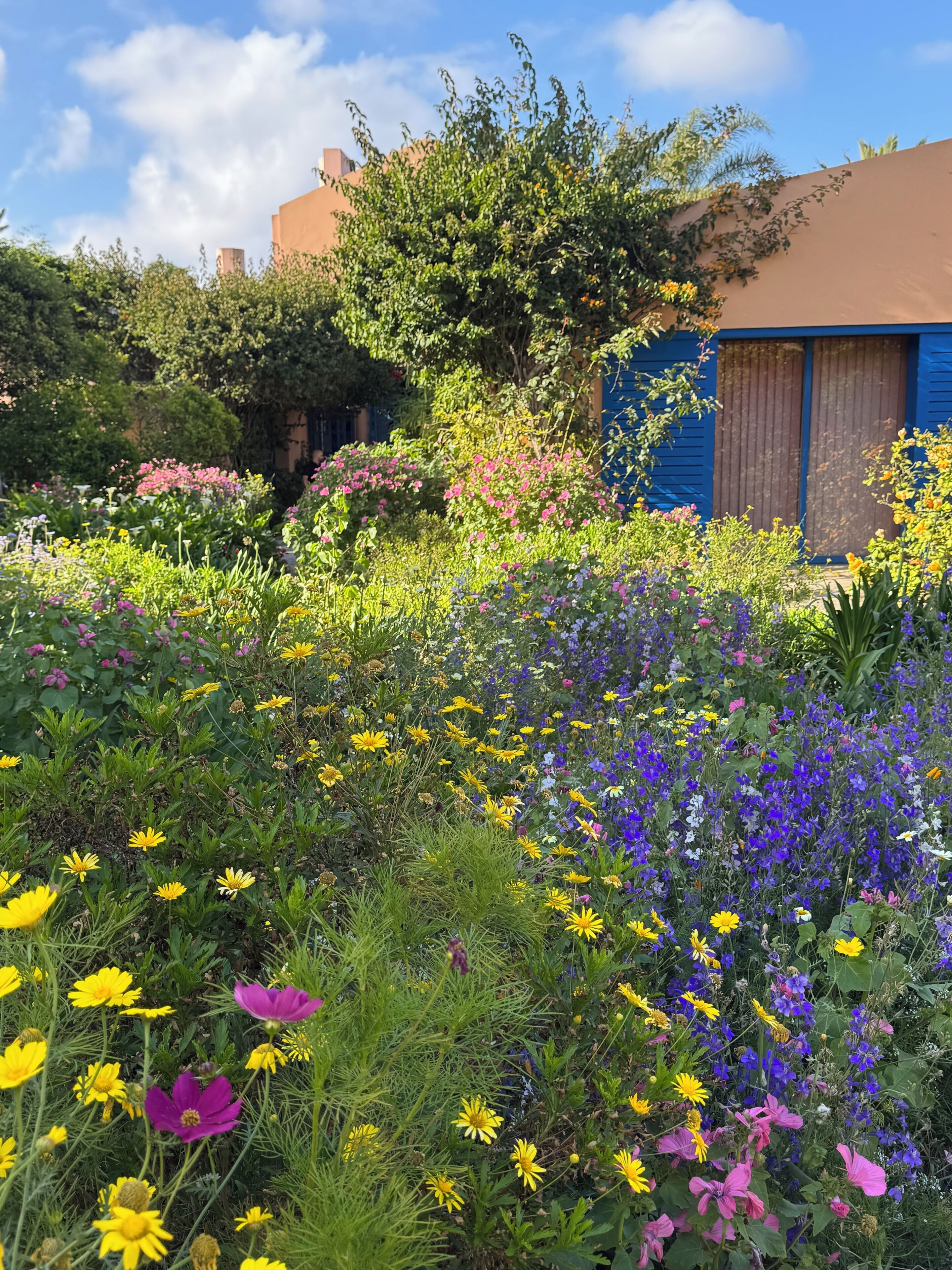 Un jardin où l’on trouve une grande variété de fleurs et un bâtiment aux volets bleus.