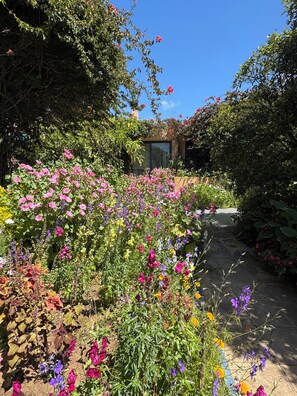 A garden with a variety of flowers and plants, a pathway, and a building with a glass door. - Villa Mandarine (Rabat)