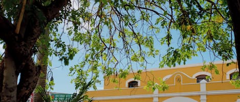 Un edificio giallo con archi bianchi e un albero sullo sfondo.