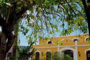 Un edificio amarillo con arcos blancos y un árbol en primer plano.