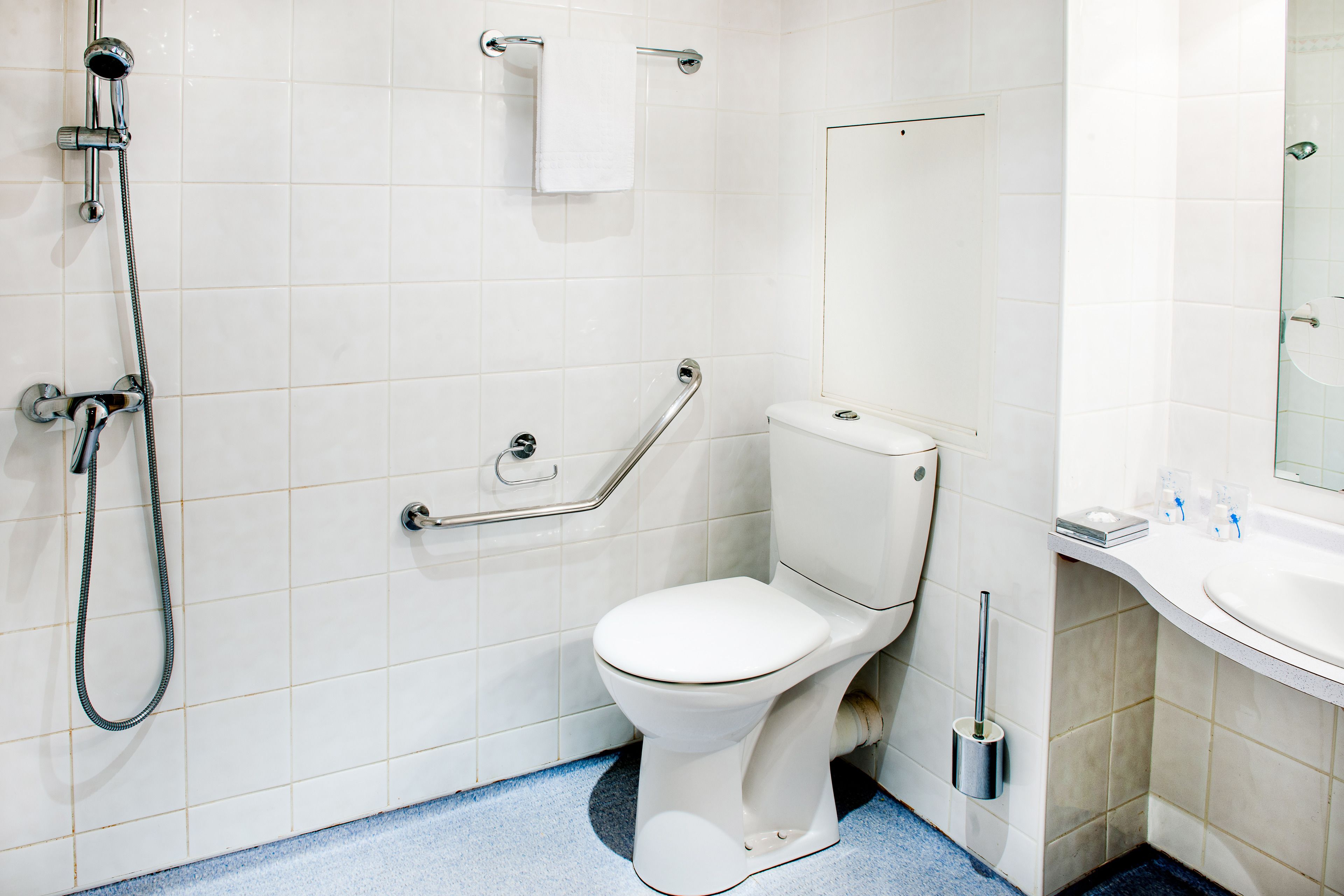 Un baño con inodoro blanco, ducha con cabezal de ducha manual, barra de apoyo y lavamanos con espejo.