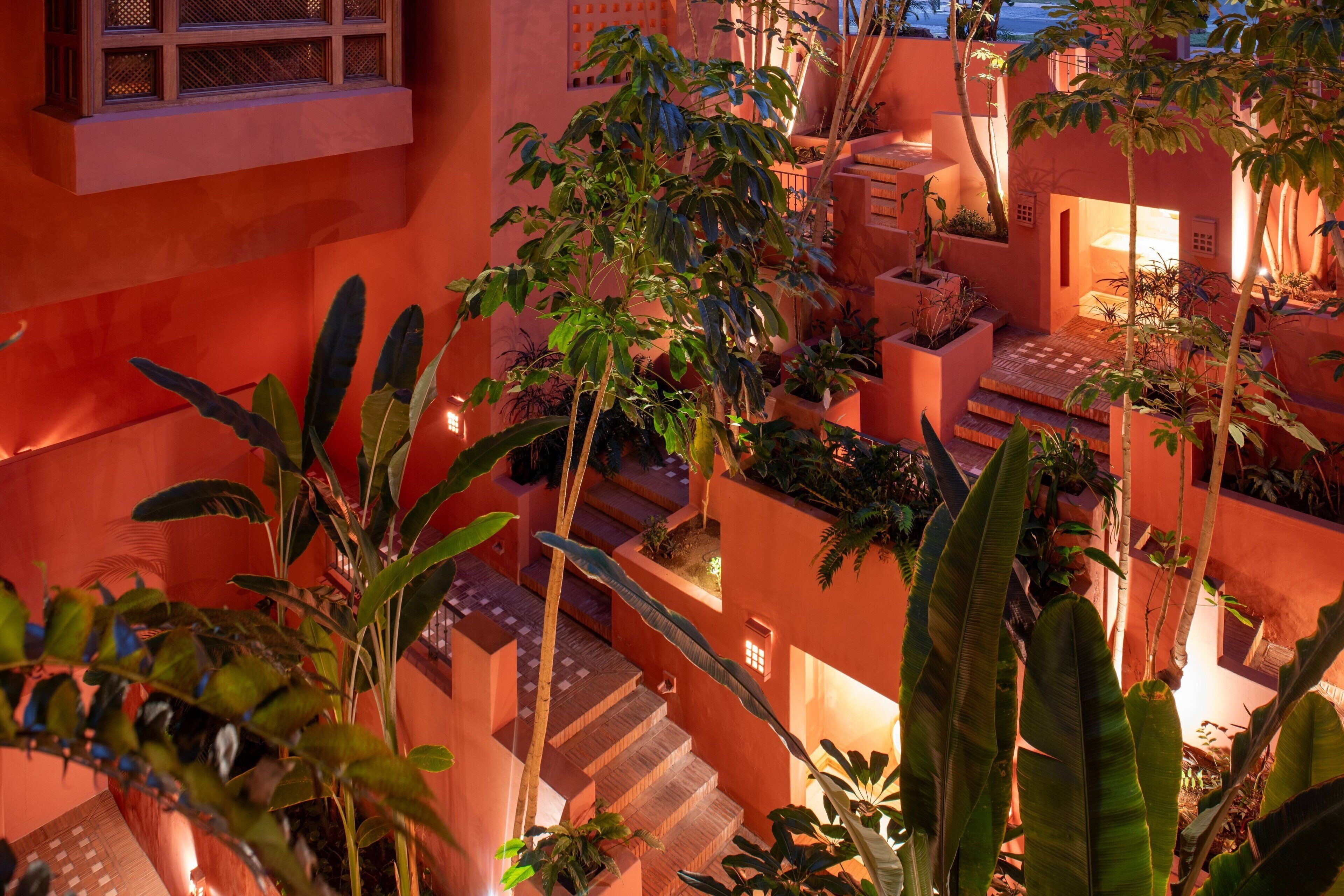 Un jardín al aire libre con varios niveles, diversas plantas y una escalera.