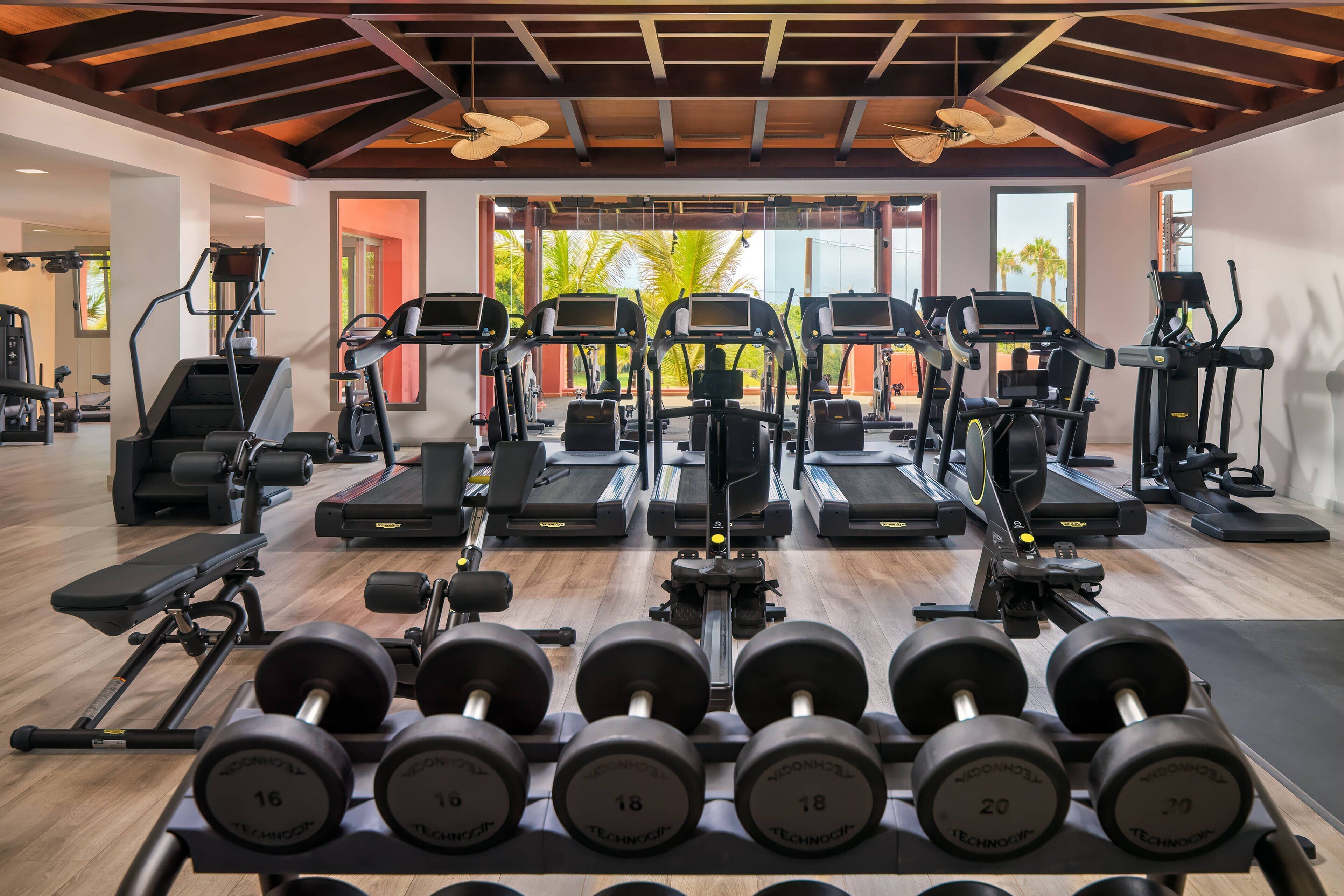 A gym with treadmills, elliptical machines, and dumbbells.