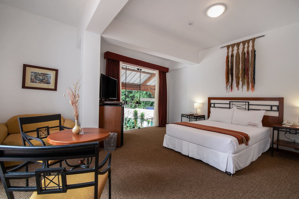 A hotel room with a bed, a desk with a chair, a TV, a framed picture on the wall, and a view of greenery outside.