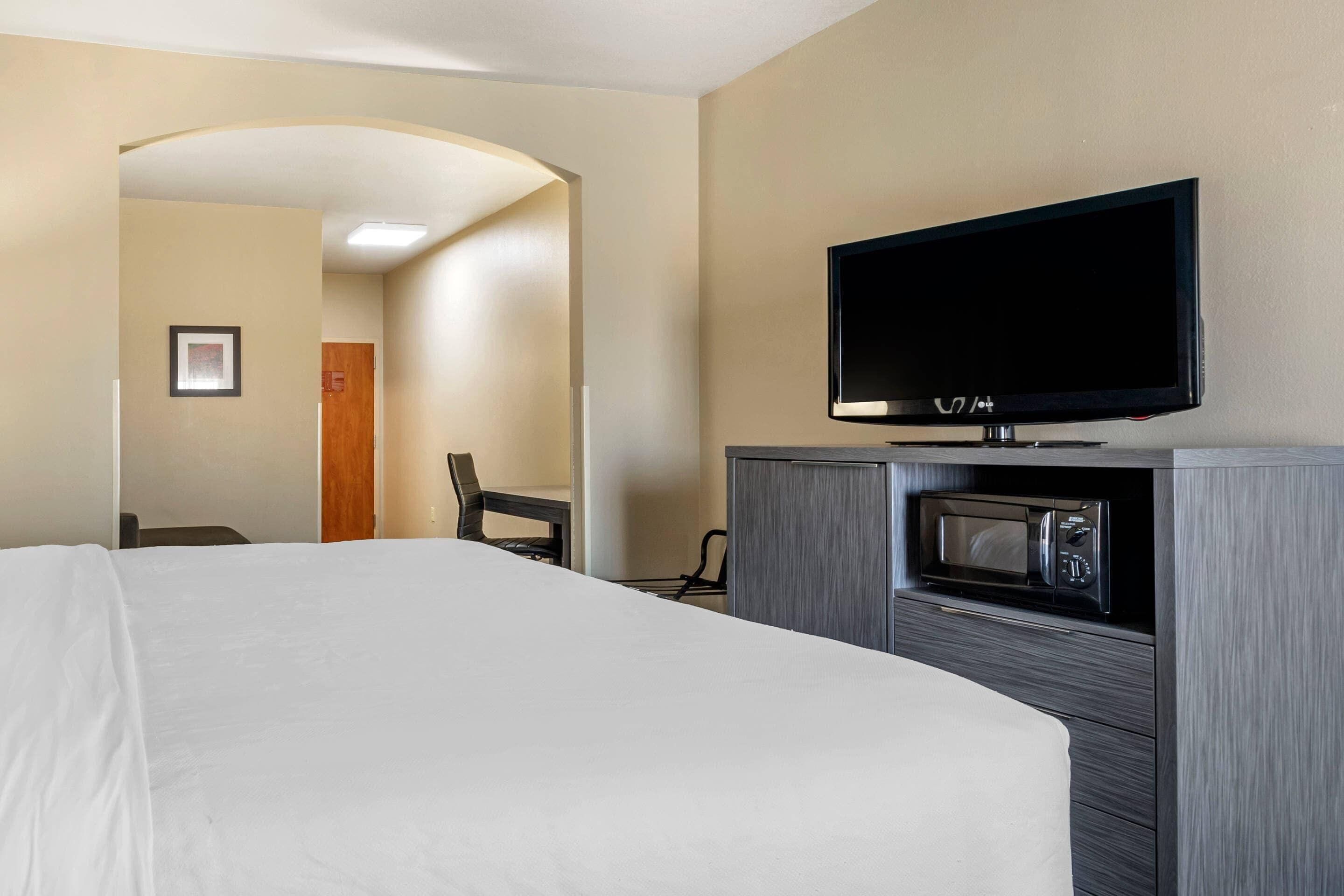A hotel room with a bed, a TV, a microwave, and a desk.