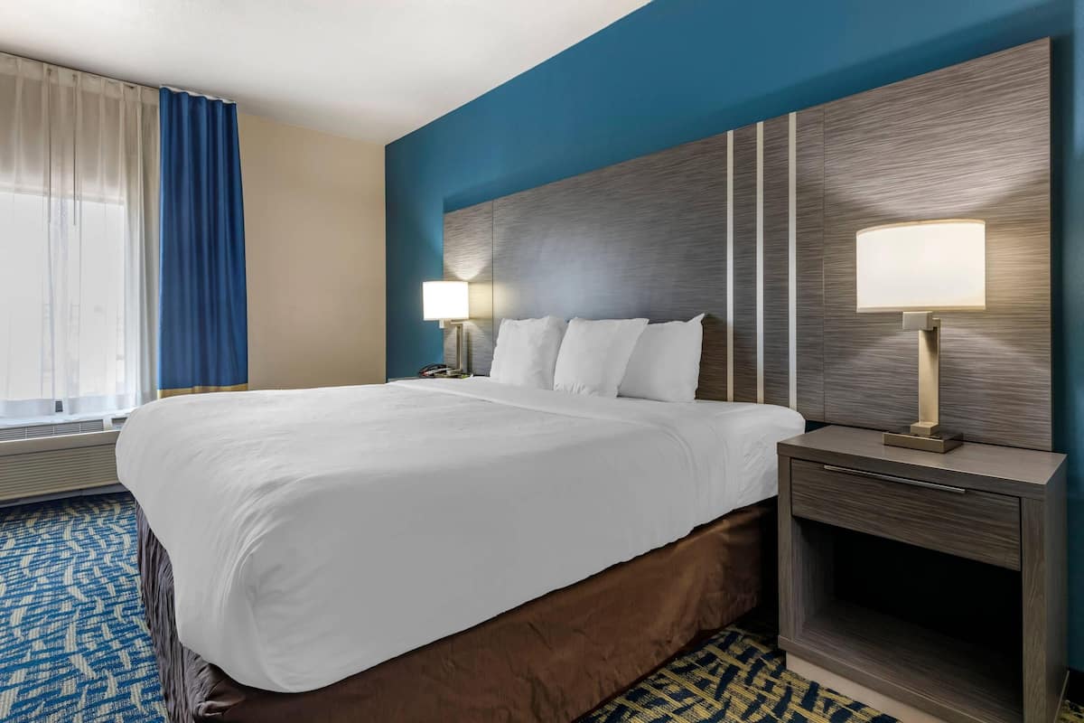 Suite, 1 King-Bett und Schlafsofa, Nichtraucher