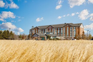 Experience the charm of the Garden Inn, set amidst a serene landscape of lush grass and trees.