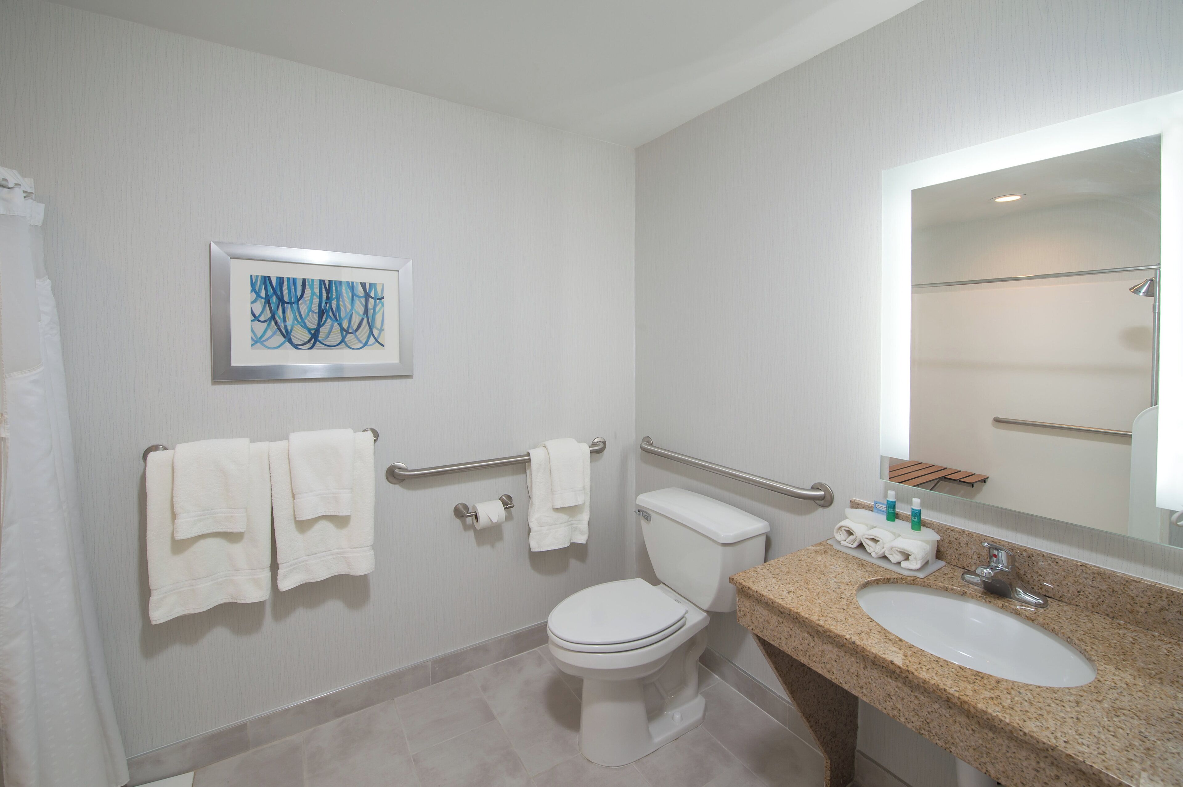Ein Badezimmer mit Toilette, Waschbecken, Handtuchhalter, Handlauf und einem gerahmten Kunstwerk an der Wand.