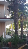 Un edificio con balcón, una palmera y un coche estacionado.