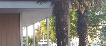 Express Inn & Suites