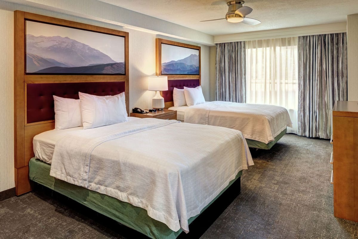 客房内保险箱、办公桌、熨斗/熨衣板、免费婴儿床