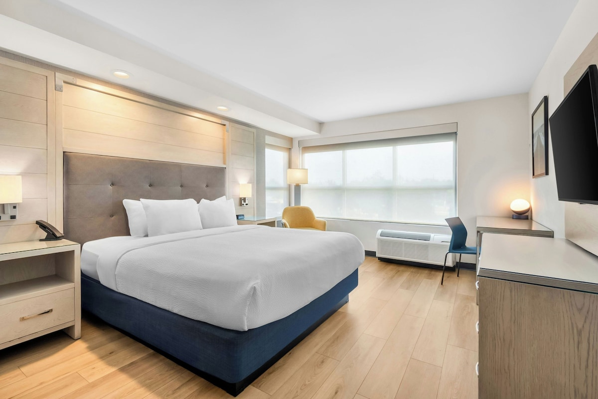 Suite, 1 King Bed with Sofa bed | In-room safe, desk, laptop workspace, soundproofing