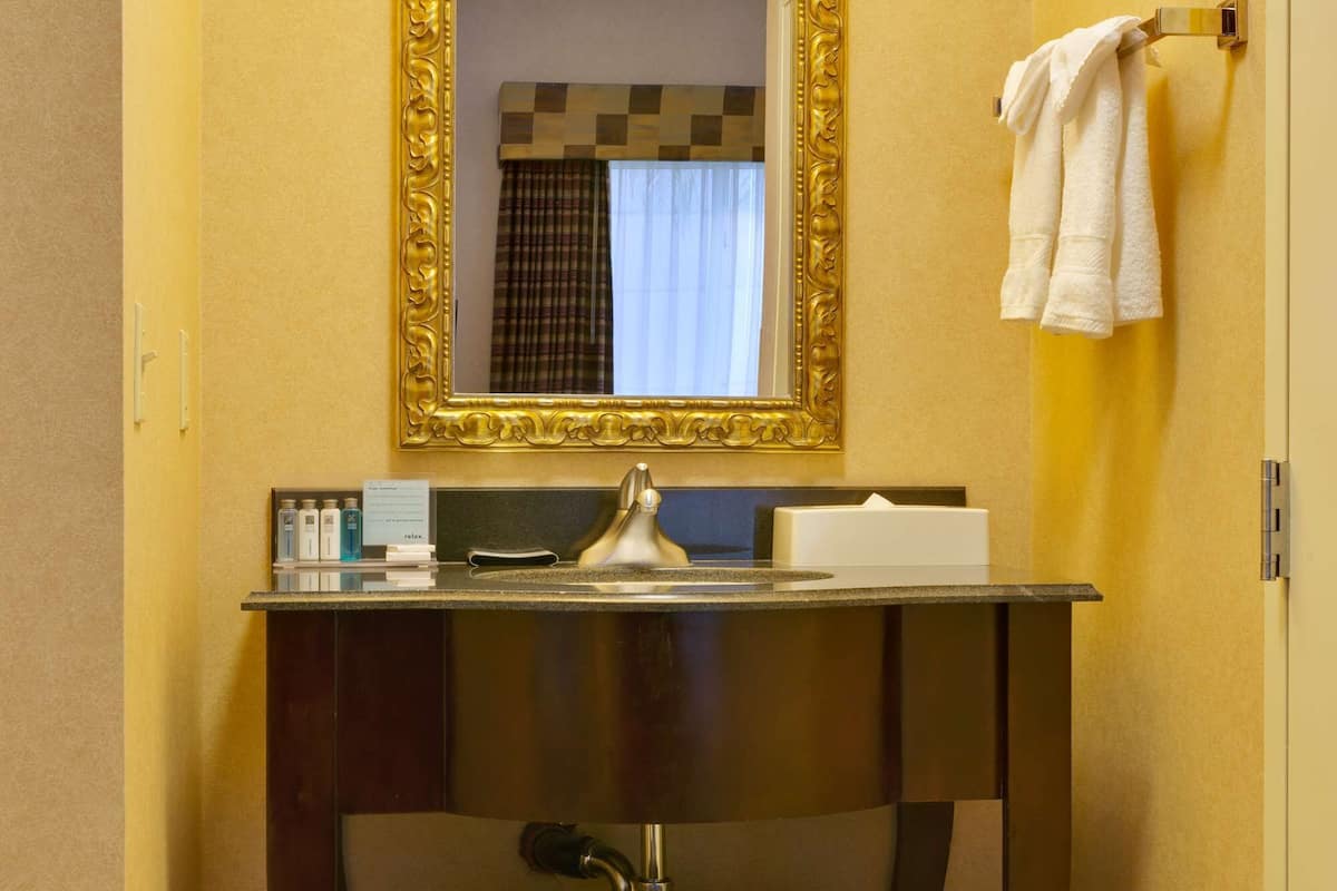 combined shower/bathtub, free toiletries, hair dryer, towels