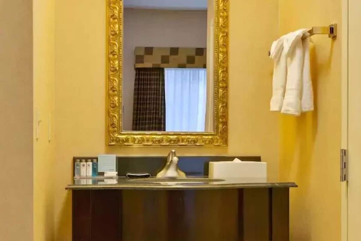 Bathroom | Combined shower/tub, free toiletries, hair dryer, towels