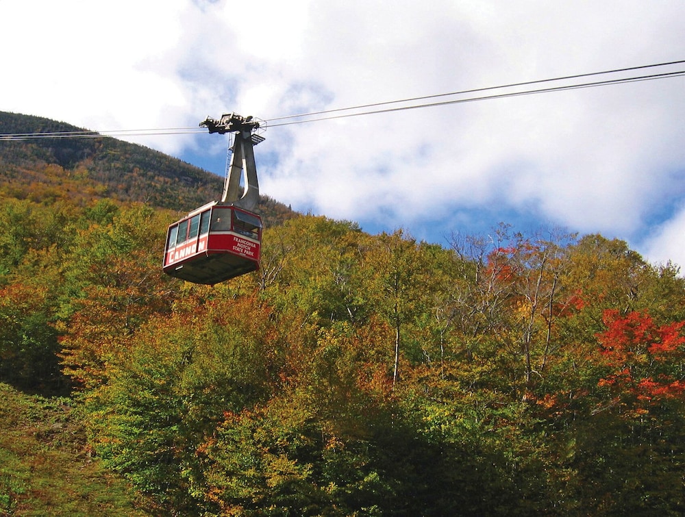 The Manor on Van Horn Estate by null