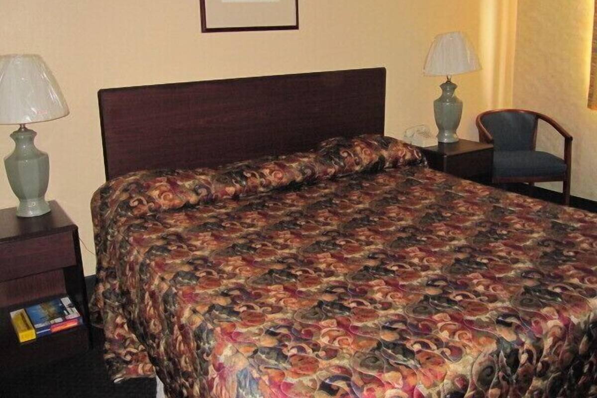 Room, 1 King Bed | Desk, cribs (surcharge), rollaway beds (surcharge), WiFi (free)