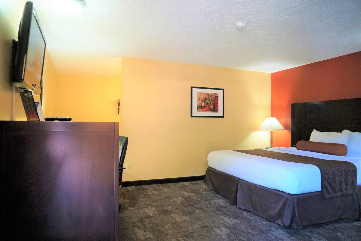Une chambre d’hôtel avec un lit, un bureau, une chaise, une télévision et un tableau encadré au mur.